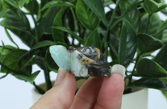 Calcite Crystal Turtle