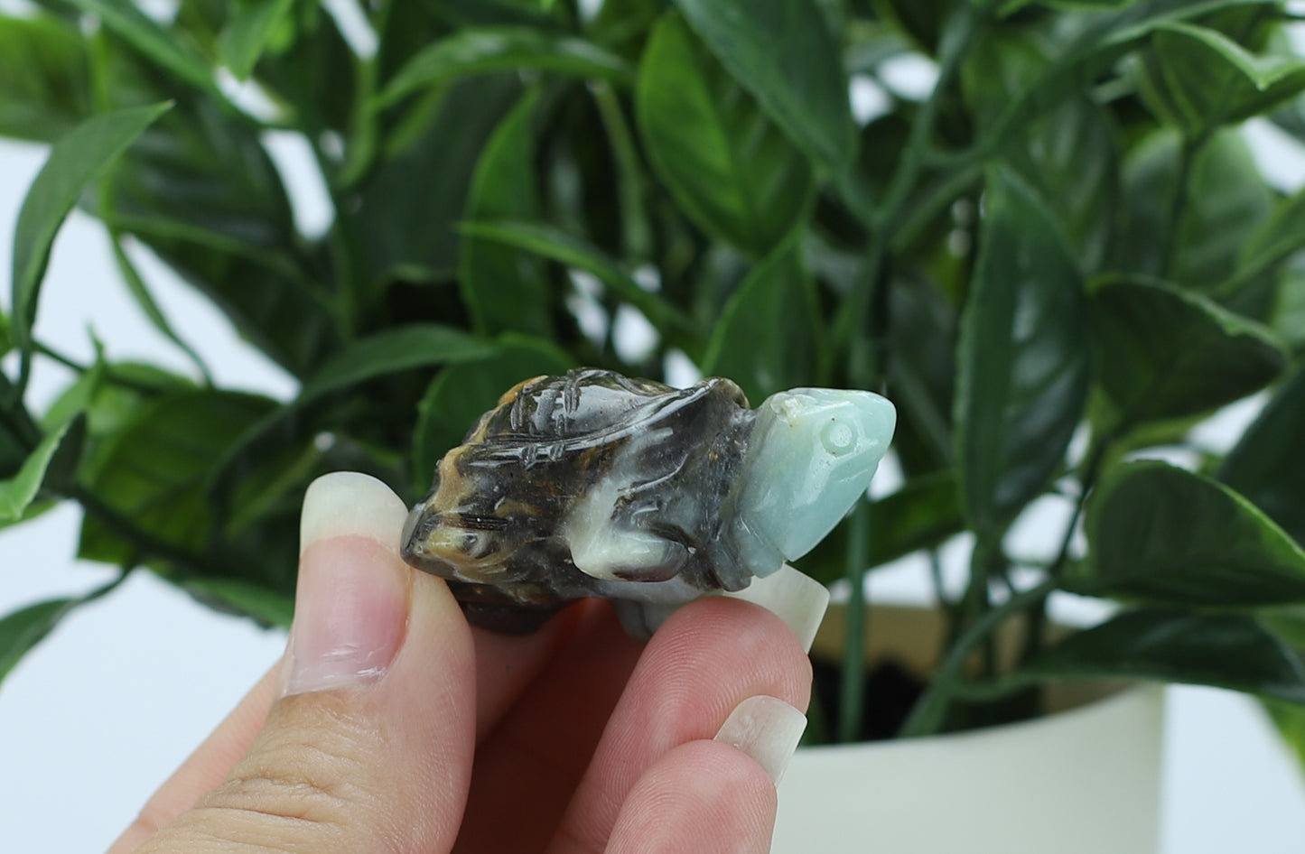 Calcite Crystal Turtle