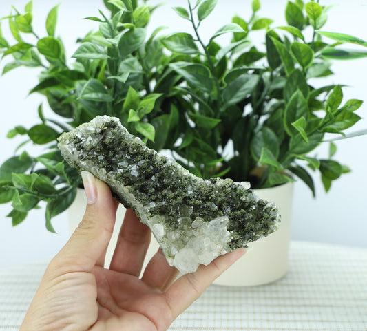 Epidote in Quartz – Mossy Crystal Cluster | Fairy Vibes | Nature Sourced