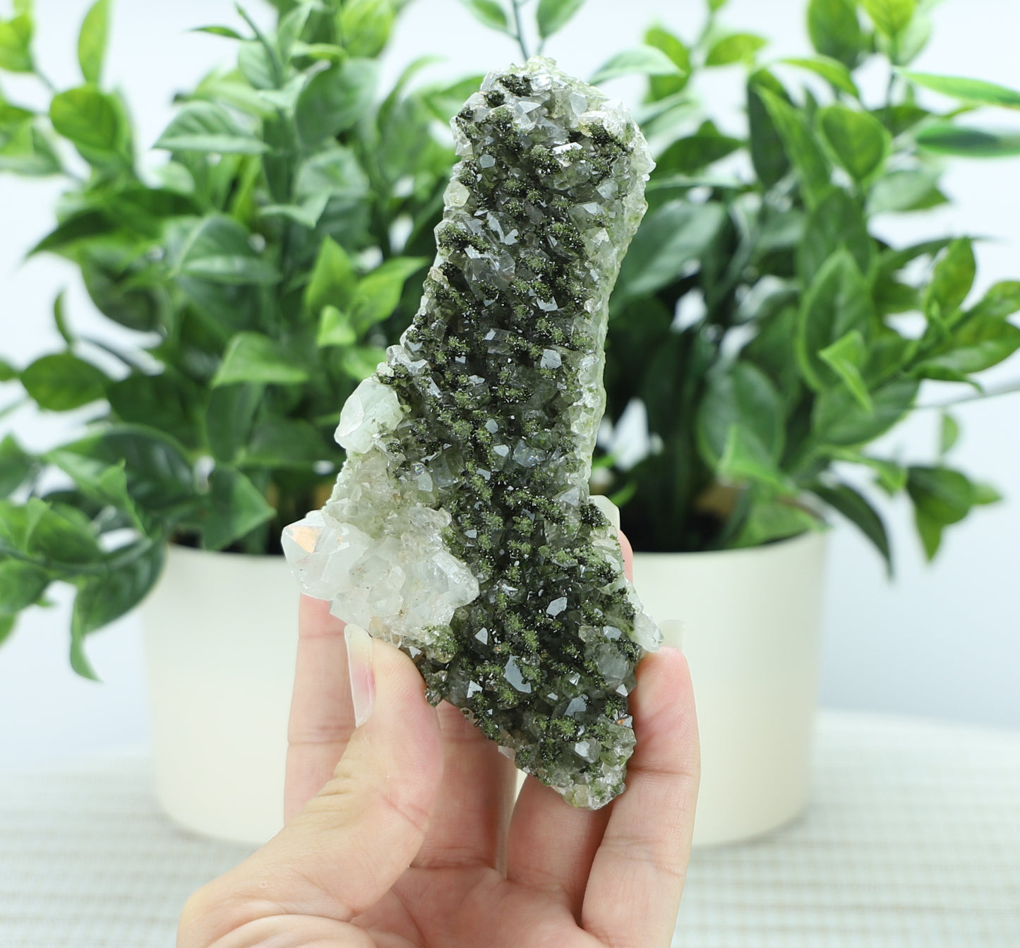 Epidote in Quartz – Mossy Crystal Cluster | Fairy Vibes | Nature Sourced