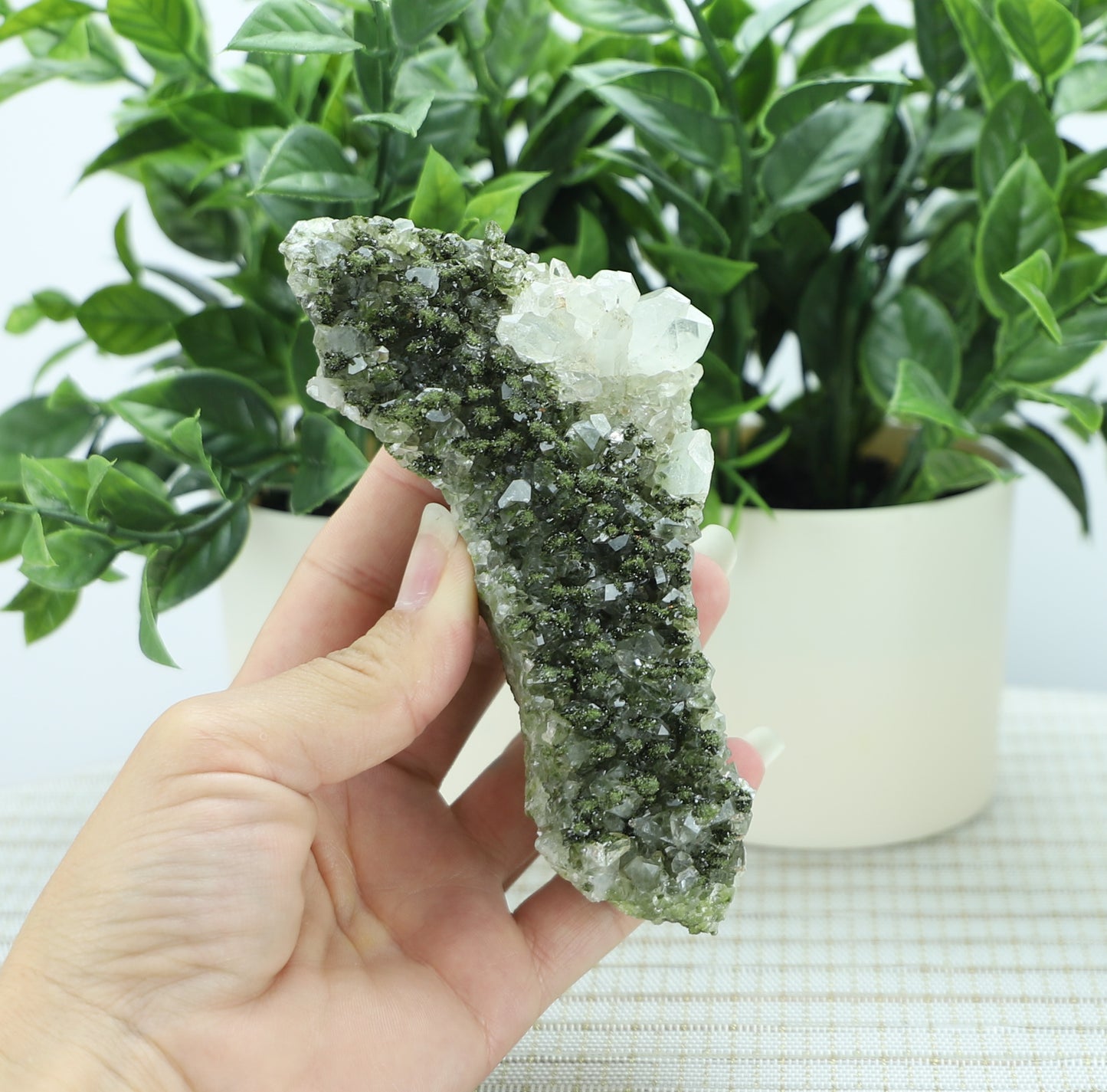 Epidote in Quartz – Mossy Crystal Cluster | Fairy Vibes | Nature Sourced
