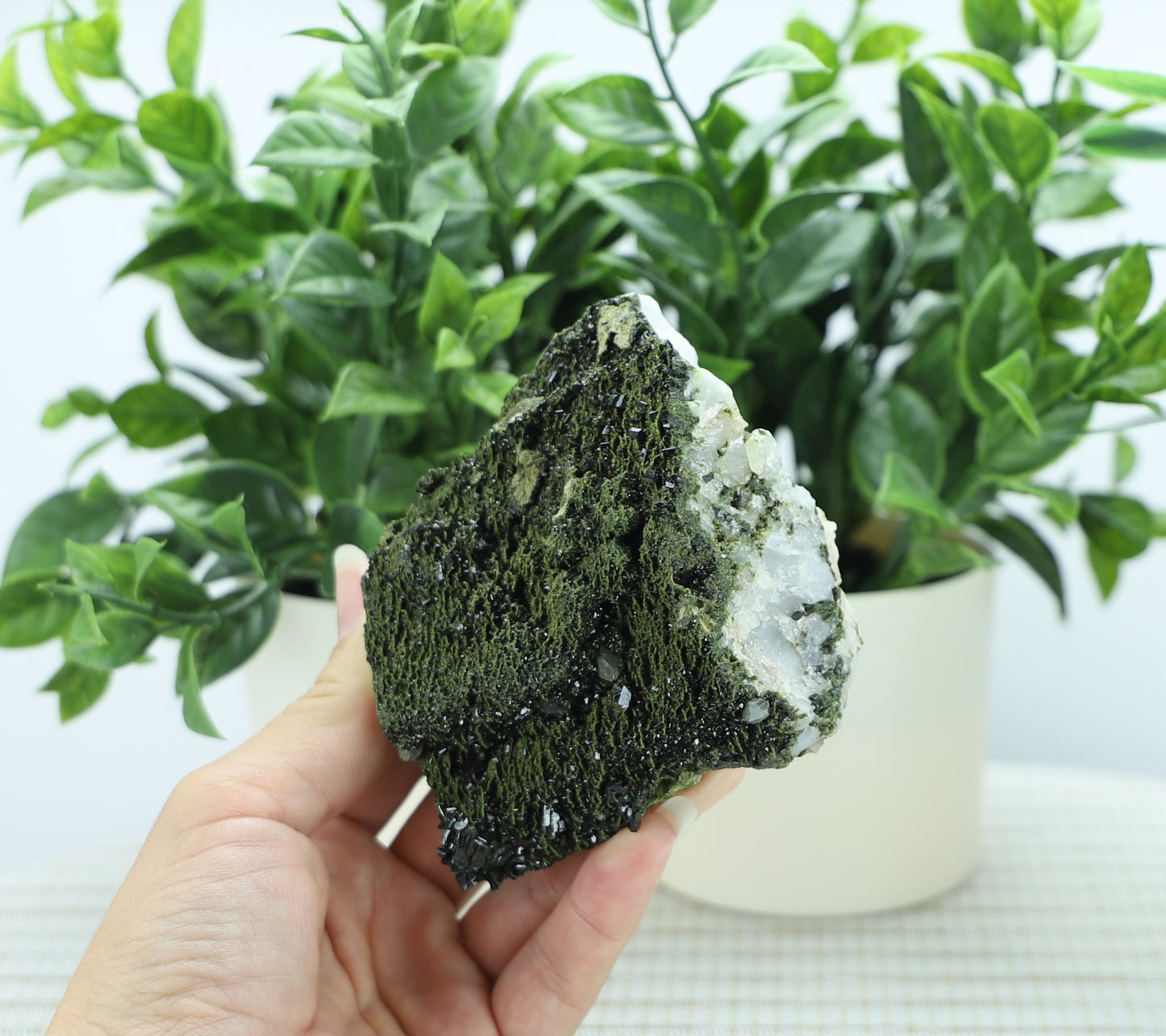 Epidote in Quartz – Mossy Crystal Cluster | Fairy Vibes | Nature Sourced