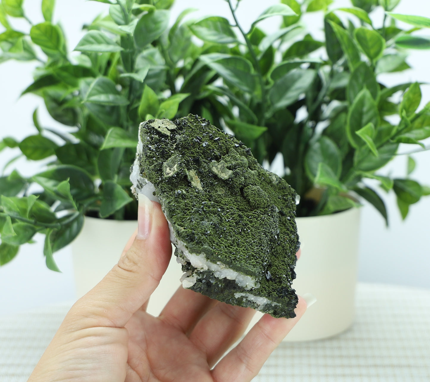 Epidote in Quartz – Mossy Crystal Cluster | Fairy Vibes | Nature Sourced