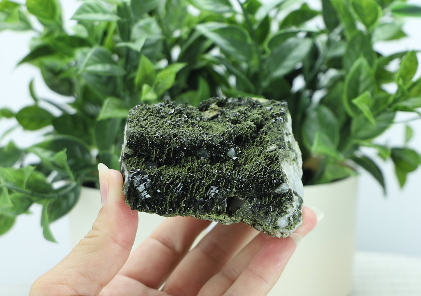 Epidote in Quartz – Mossy Crystal Cluster | Fairy Vibes | Nature Sourced