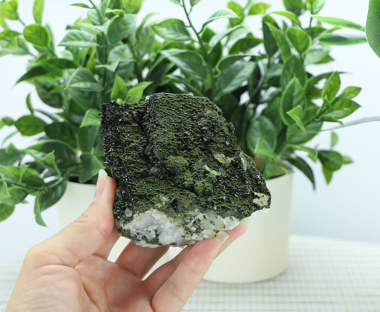 Epidote in Quartz – Mossy Crystal Cluster | Fairy Vibes | Nature Sourced