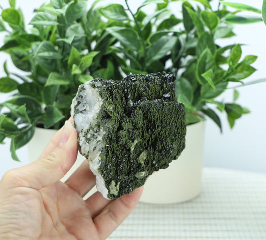 Epidote in Quartz – Mossy Crystal Cluster | Fairy Vibes | Nature Sourced