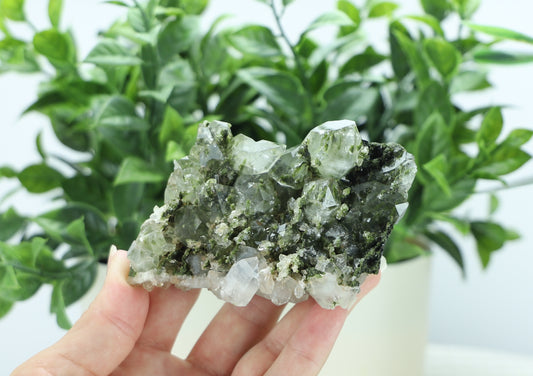 Epidote in Quartz – Mossy Crystal Cluster | Fairy Vibes | Nature Sourced
