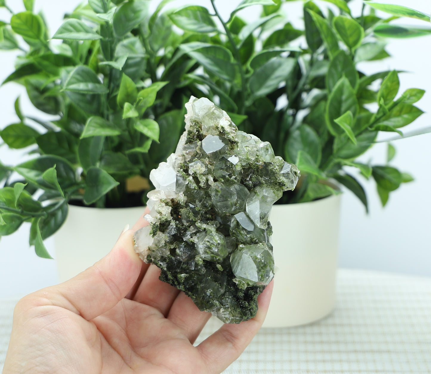 Epidote in Quartz – Mossy Crystal Cluster | Fairy Vibes | Nature Sourced