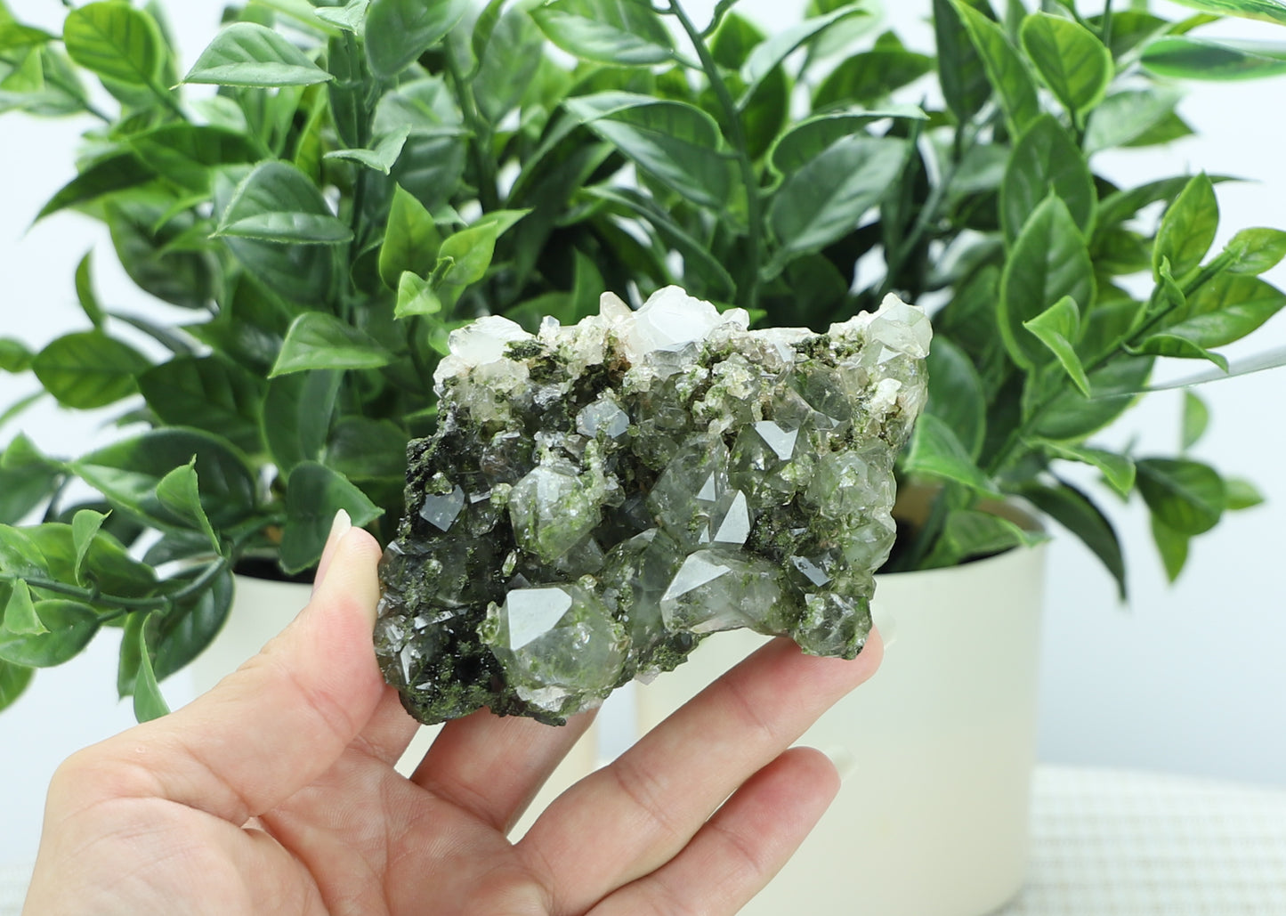 Epidote in Quartz – Mossy Crystal Cluster | Fairy Vibes | Nature Sourced