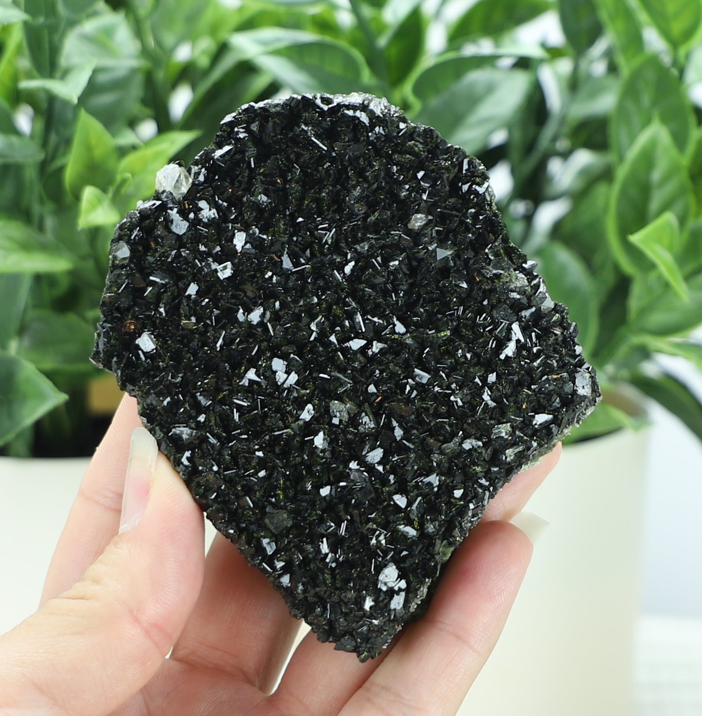 Epidote in Quartz – Mossy Crystal Cluster | Fairy Vibes | Nature Sourced