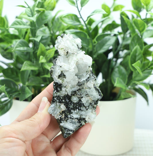 Epidote in Quartz – Mossy Crystal Cluster | Fairy Vibes | Nature Sourced