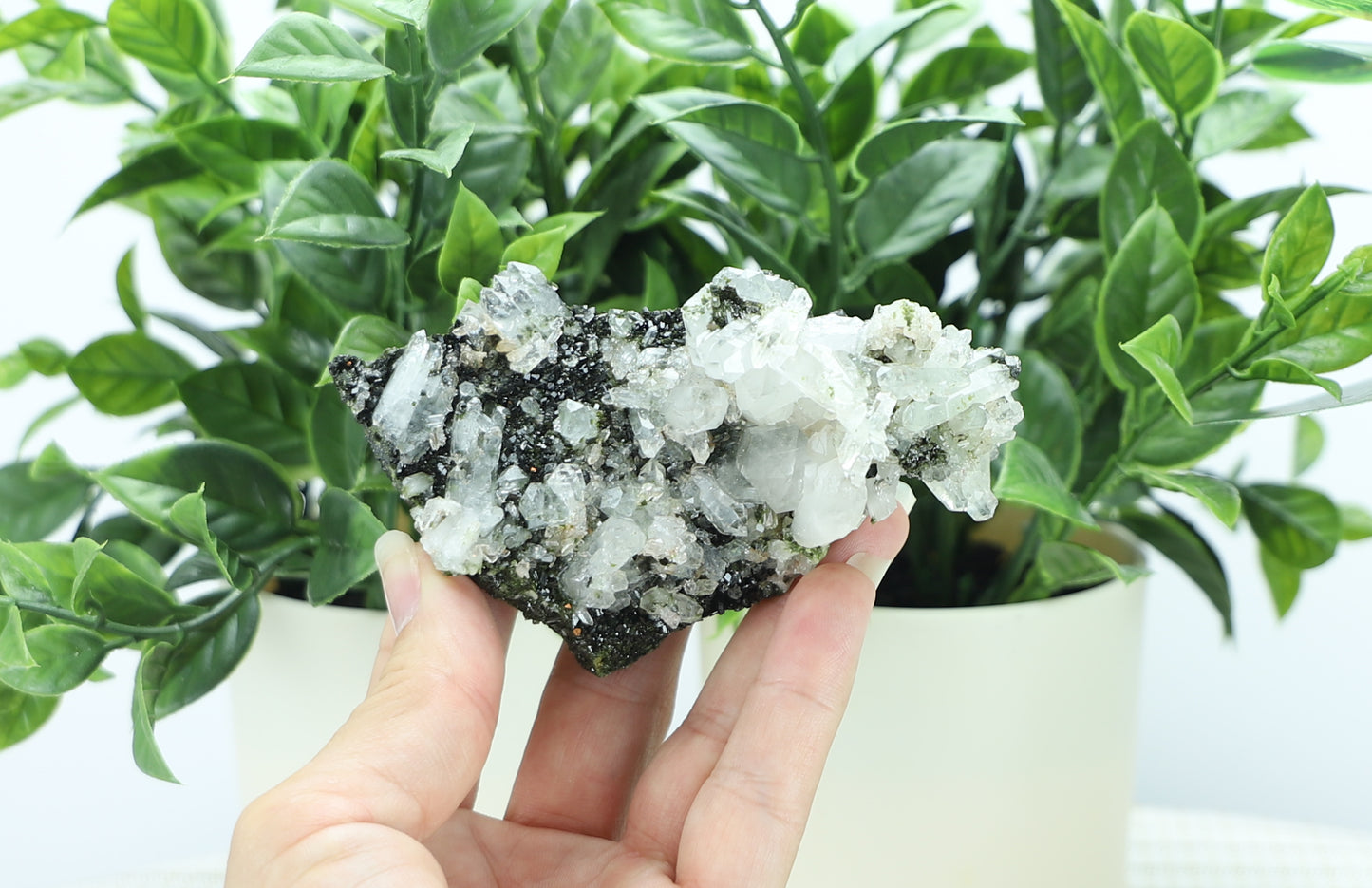 Epidote in Quartz – Mossy Crystal Cluster | Fairy Vibes | Nature Sourced