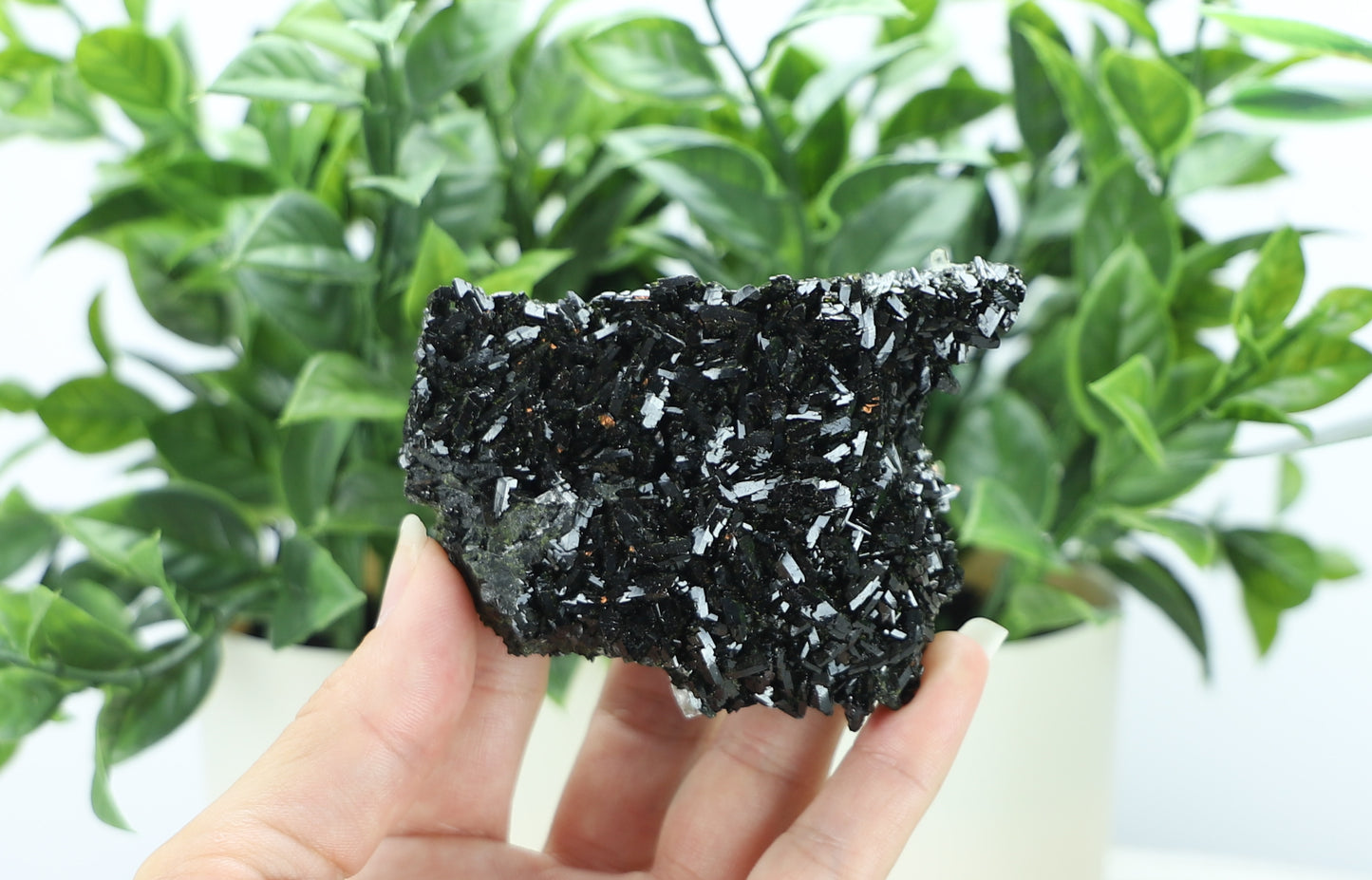 Epidote in Quartz – Mossy Crystal Cluster | Fairy Vibes | Nature Sourced
