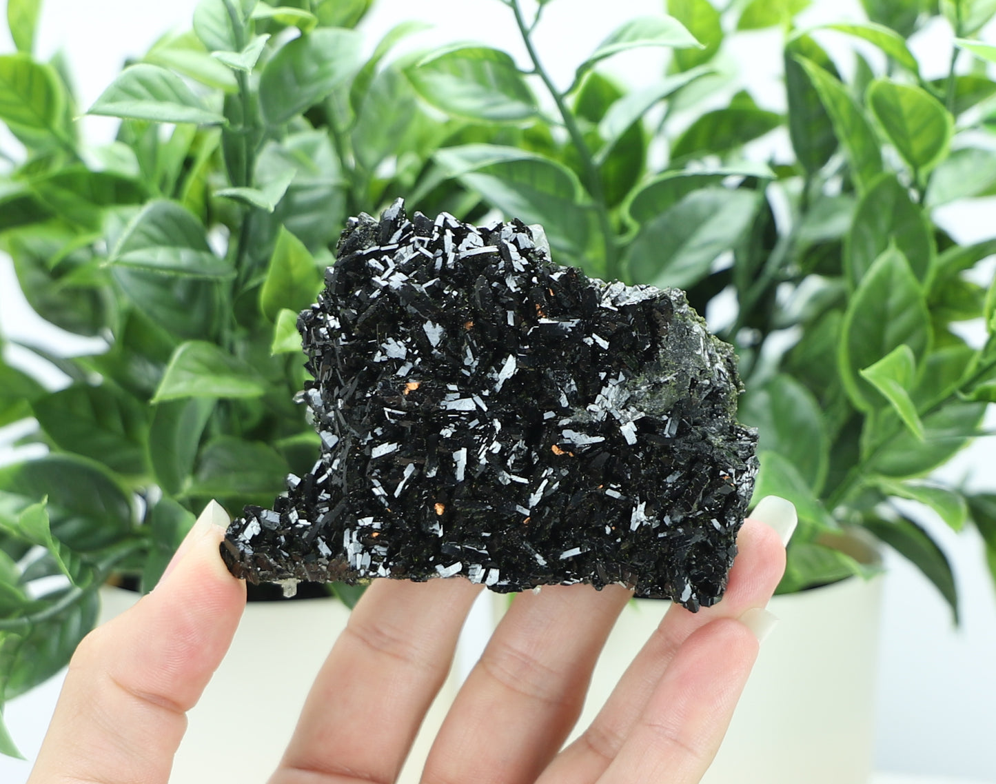 Epidote in Quartz – Mossy Crystal Cluster | Fairy Vibes | Nature Sourced