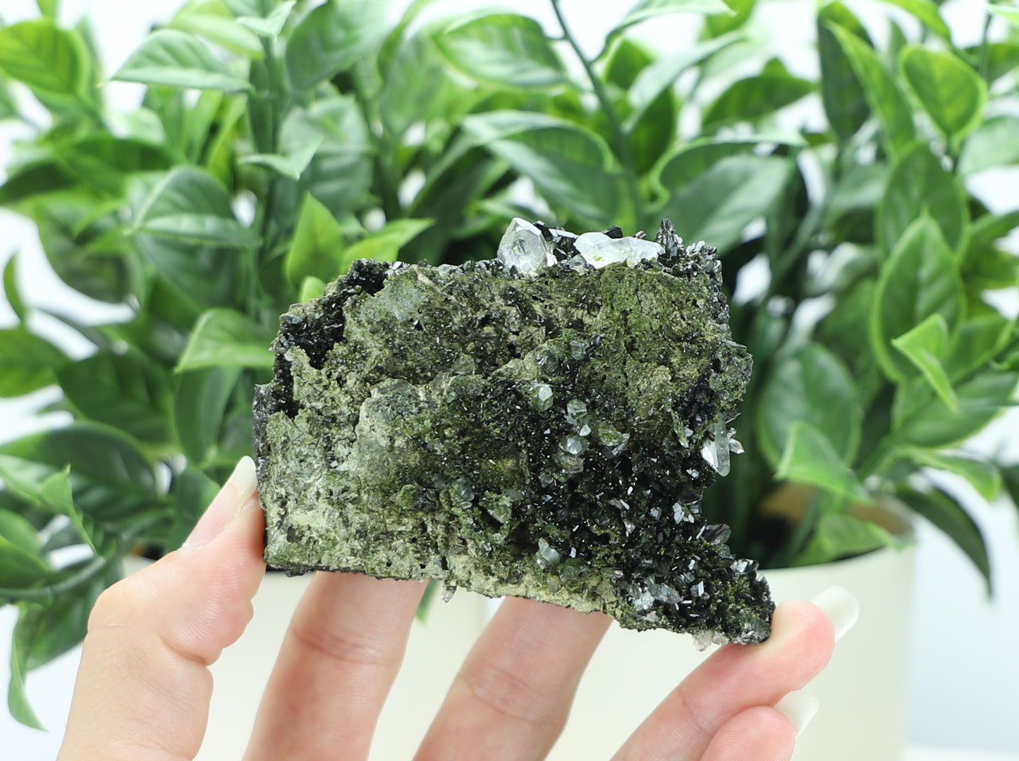 Epidote in Quartz – Mossy Crystal Cluster | Fairy Vibes | Nature Sourced