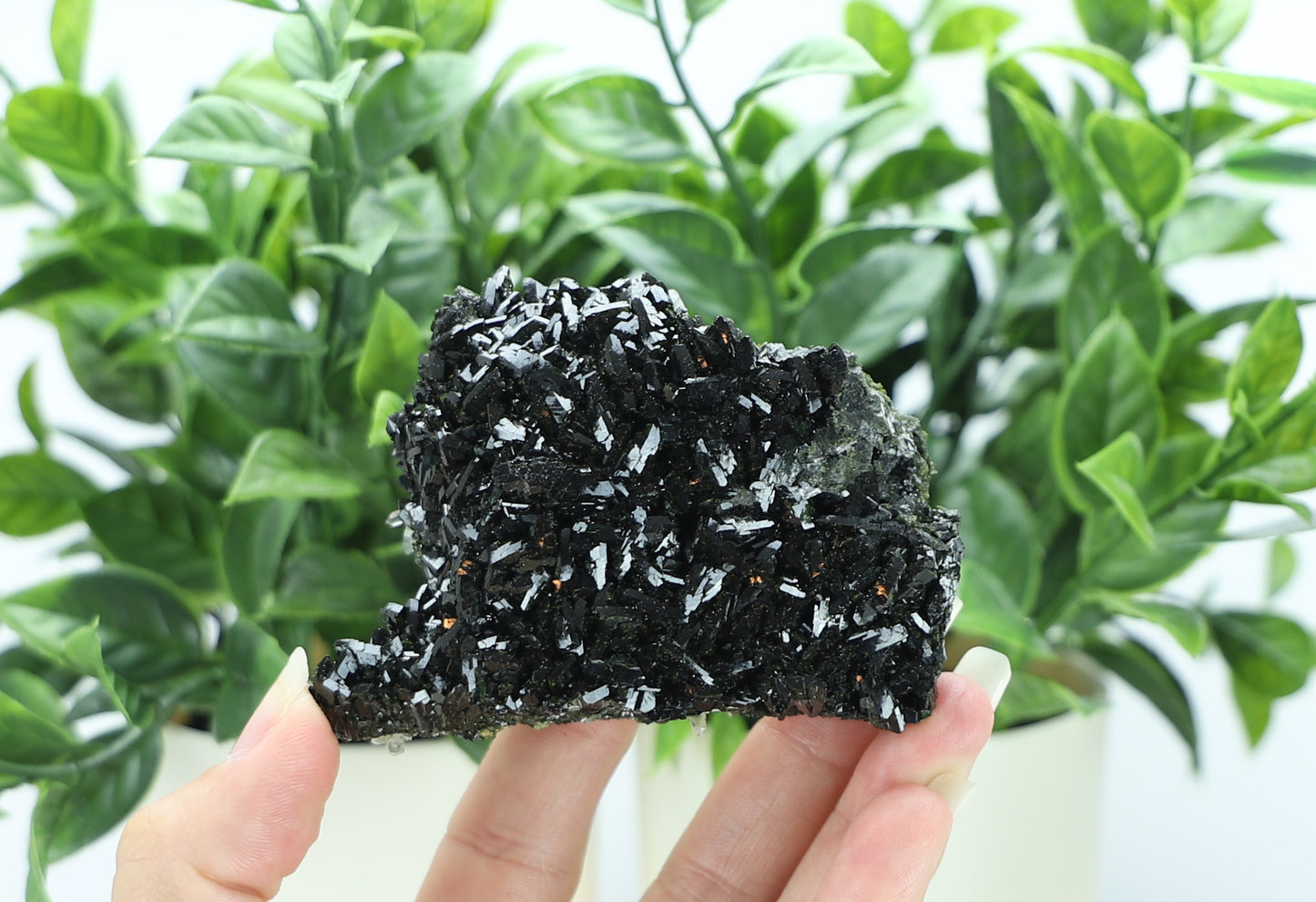 Epidote in Quartz – Mossy Crystal Cluster | Fairy Vibes | Nature Sourced