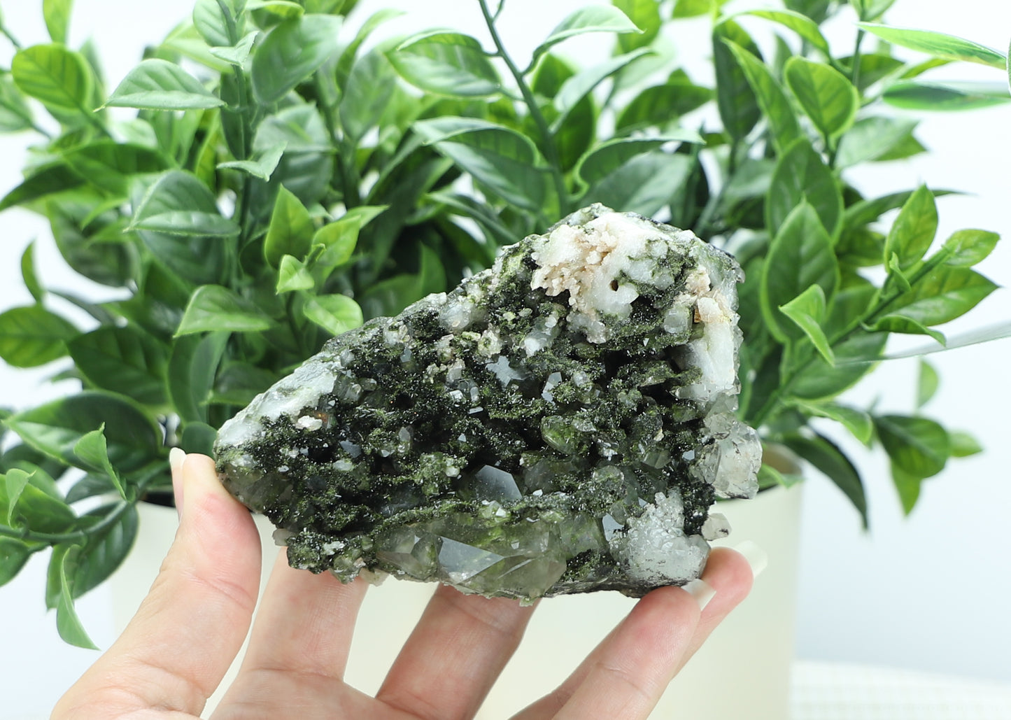 Epidote in Quartz – Mossy Crystal Cluster | Fairy Vibes | Nature Sourced