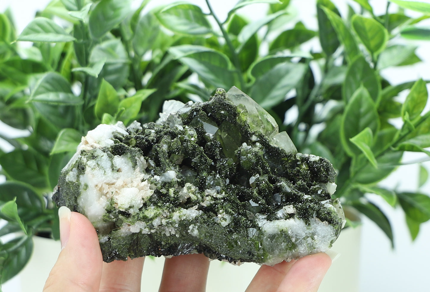 Epidote in Quartz – Mossy Crystal Cluster | Fairy Vibes | Nature Sourced