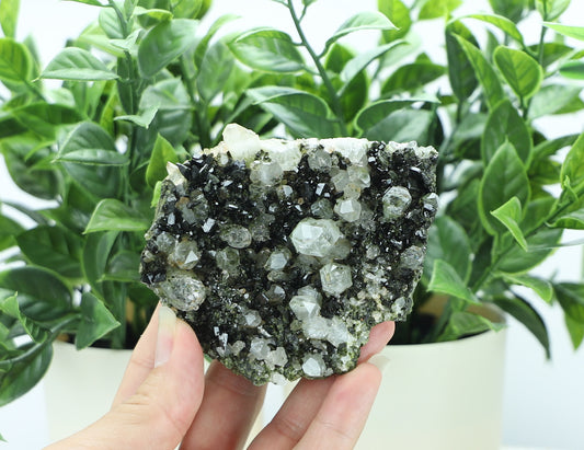 Epidote in Quartz – Mossy Crystal Cluster | Fairy Vibes | Nature Sourced
