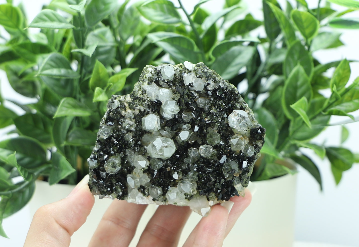 Epidote in Quartz – Mossy Crystal Cluster | Fairy Vibes | Nature Sourced