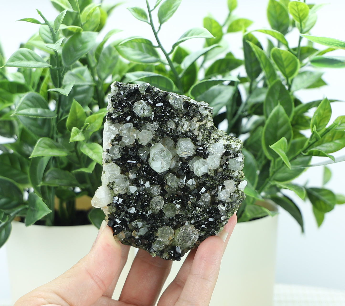 Epidote in Quartz – Mossy Crystal Cluster | Fairy Vibes | Nature Sourced