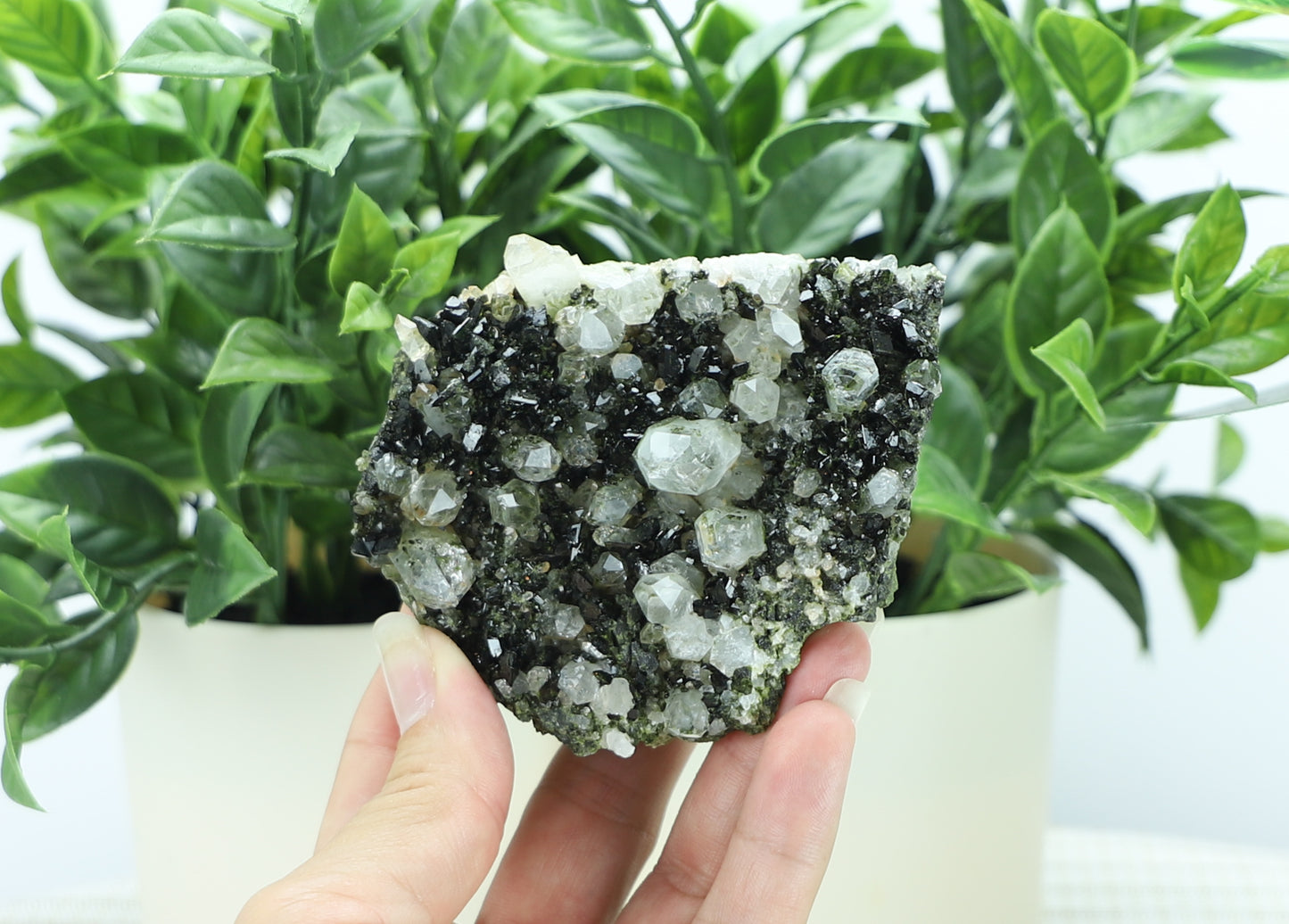 Epidote in Quartz – Mossy Crystal Cluster | Fairy Vibes | Nature Sourced