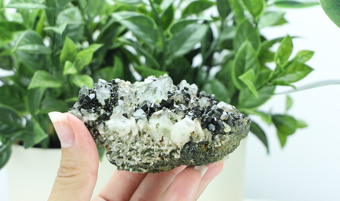 Epidote in Quartz – Mossy Crystal Cluster | Fairy Vibes | Nature Sourced
