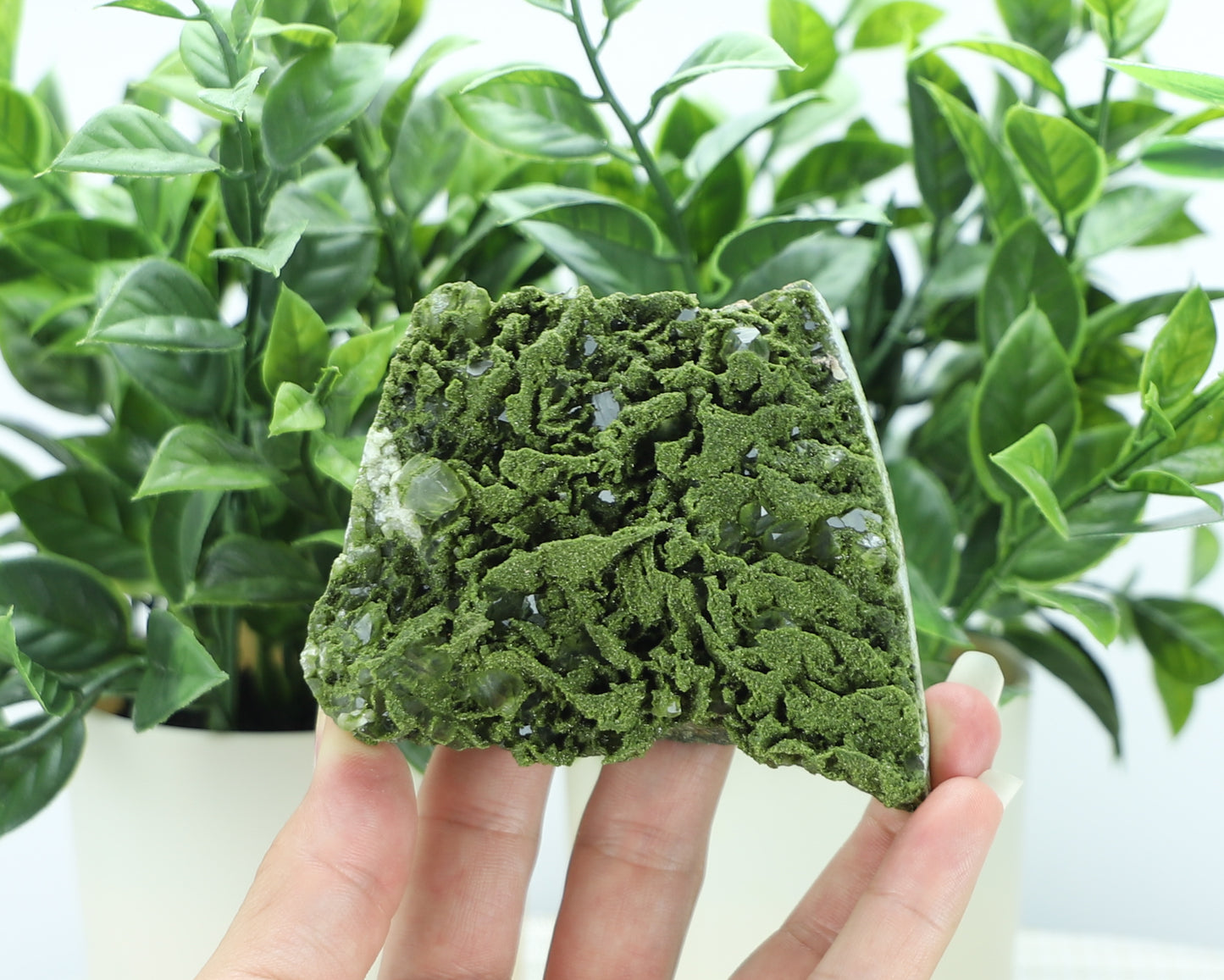 Epidote in Quartz – Mossy Crystal Cluster | Fairy Vibes | Nature Sourced
