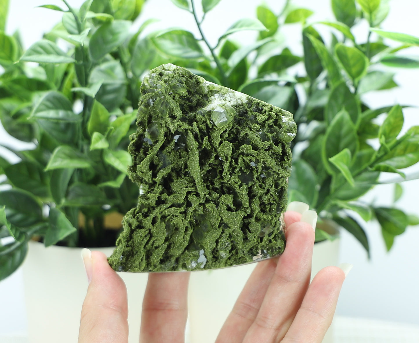 Epidote in Quartz – Mossy Crystal Cluster | Fairy Vibes | Nature Sourced