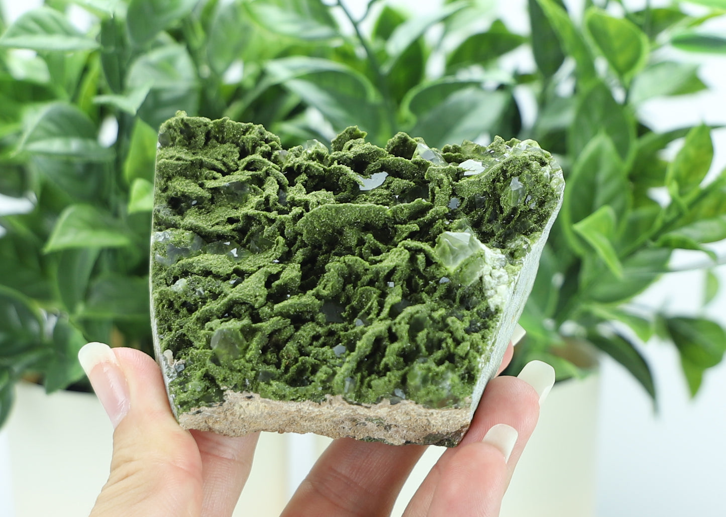 Epidote in Quartz – Mossy Crystal Cluster | Fairy Vibes | Nature Sourced