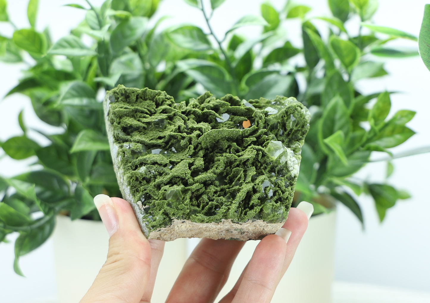 Epidote in Quartz – Mossy Crystal Cluster | Fairy Vibes | Nature Sourced