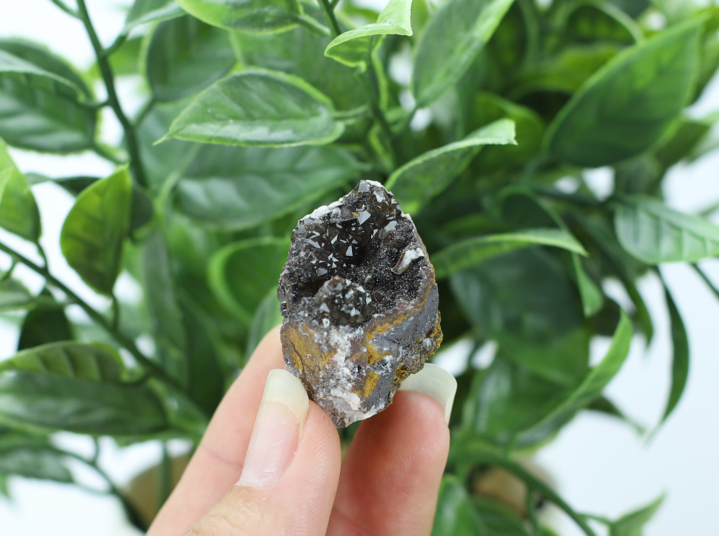Manganese and Quartz