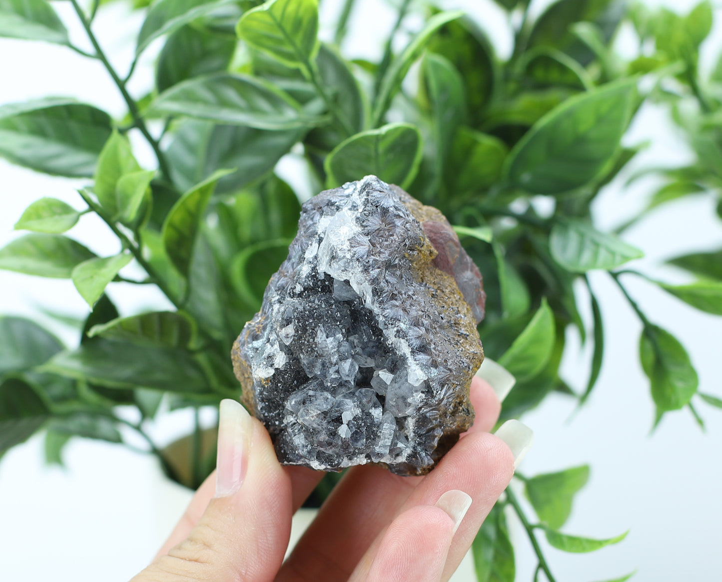 Manganese and Quartz