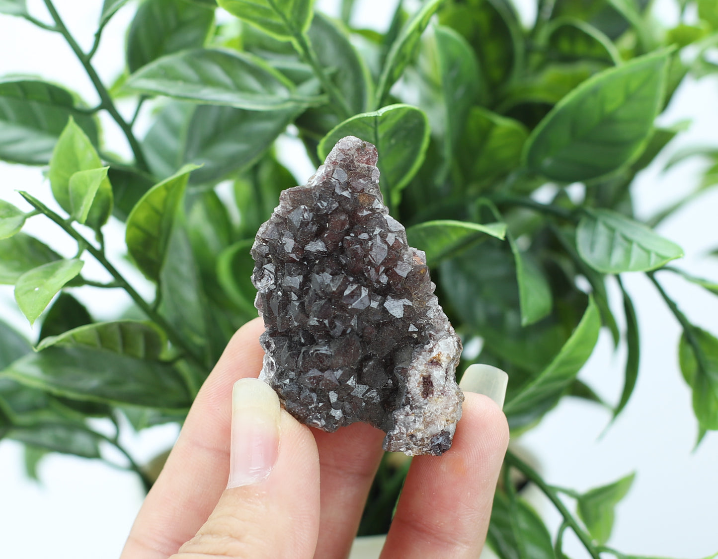 Manganese and Quartz