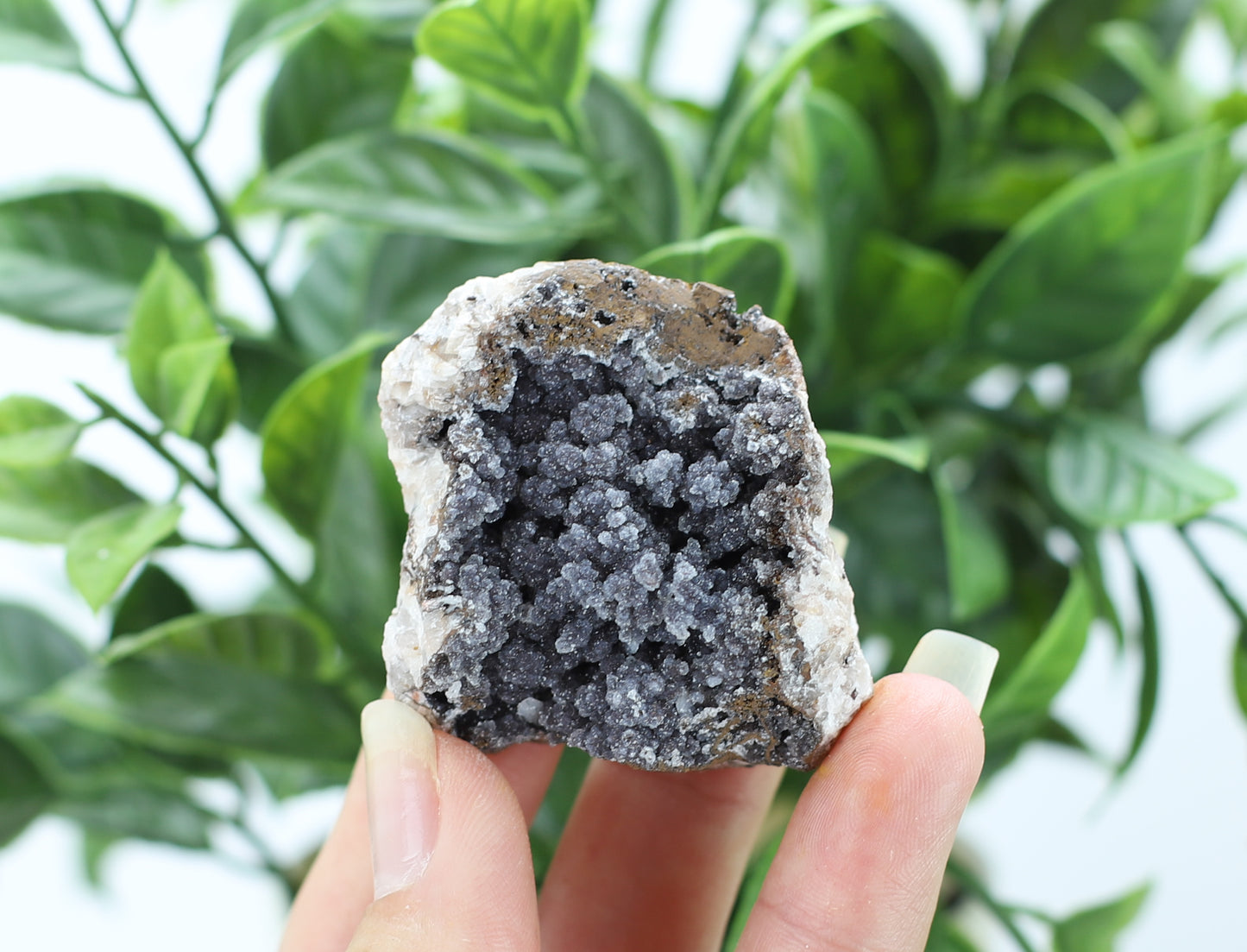 Manganese and Quartz