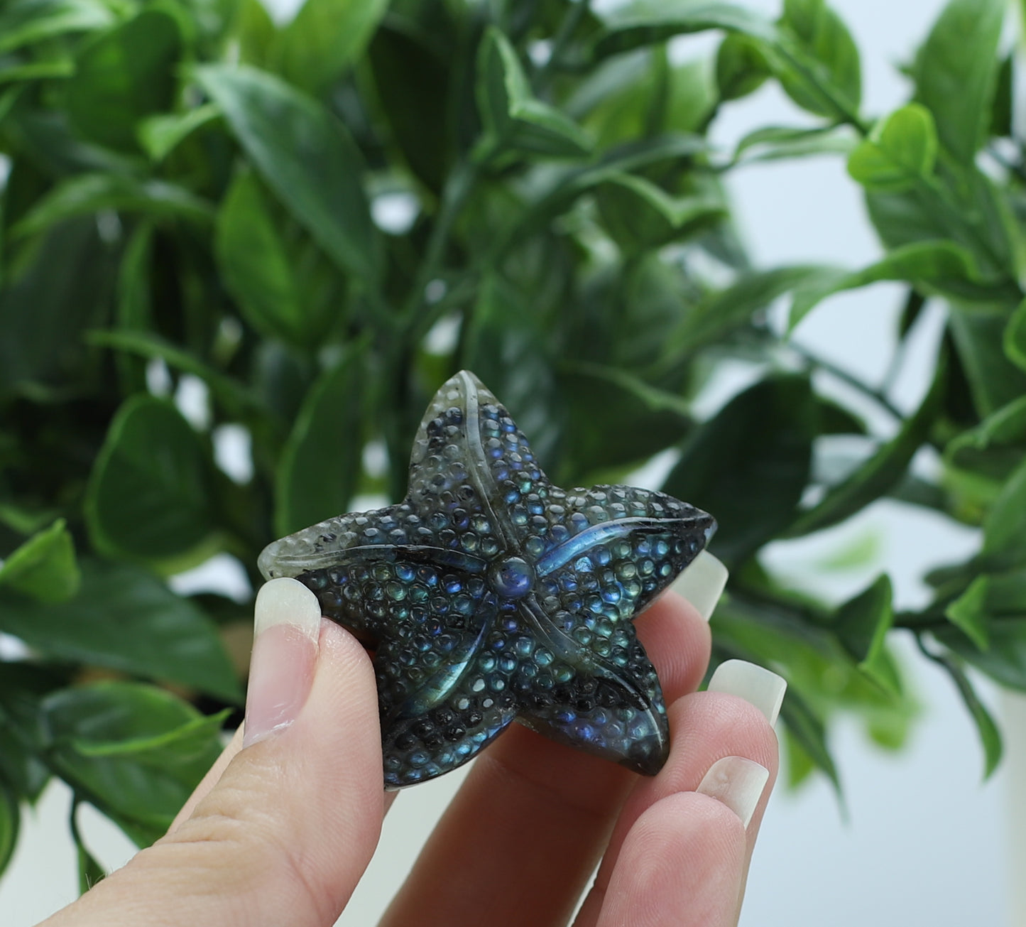 Labradorite Star Fish