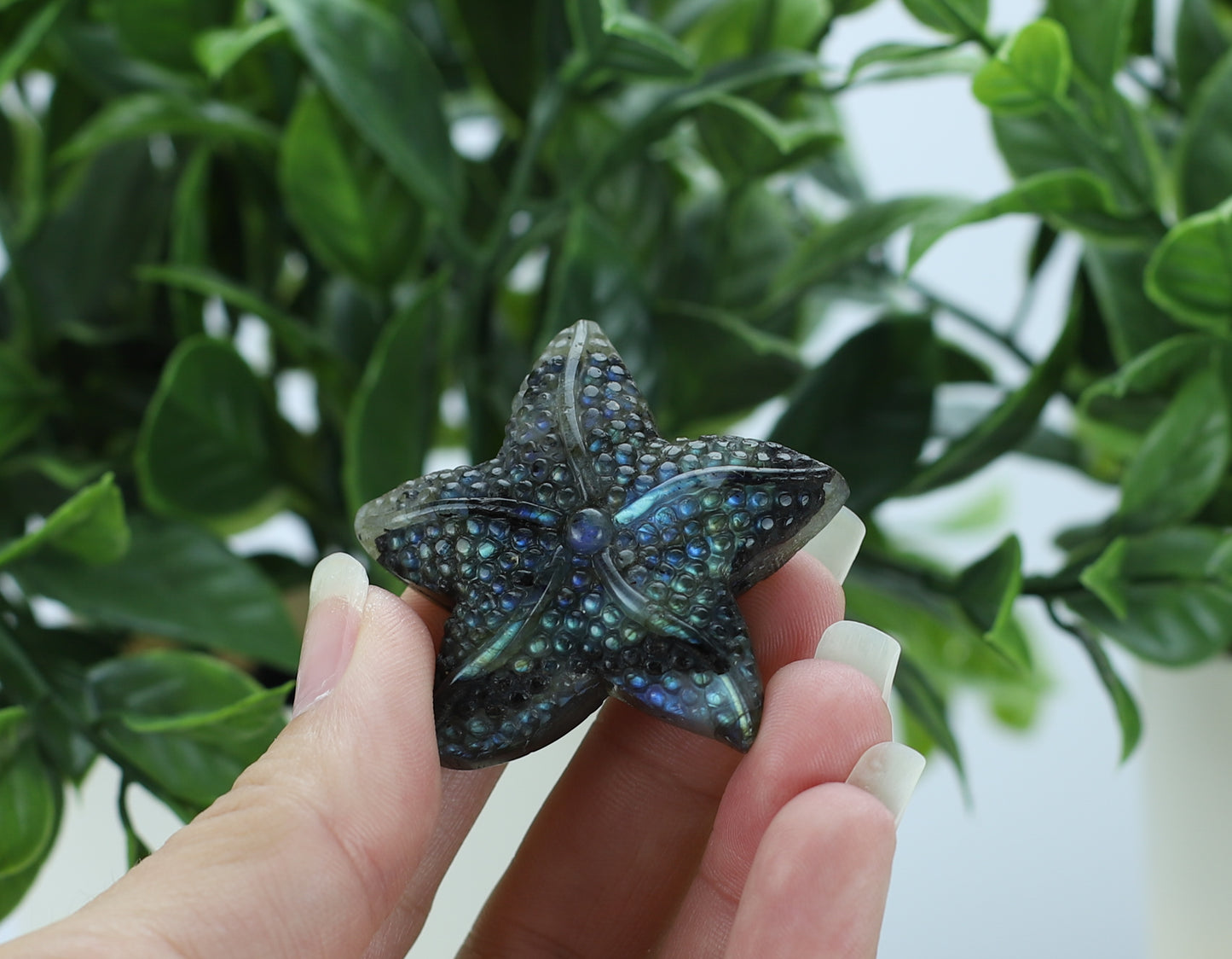 Labradorite Star Fish