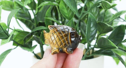 Tiger's Eye Blow Fish