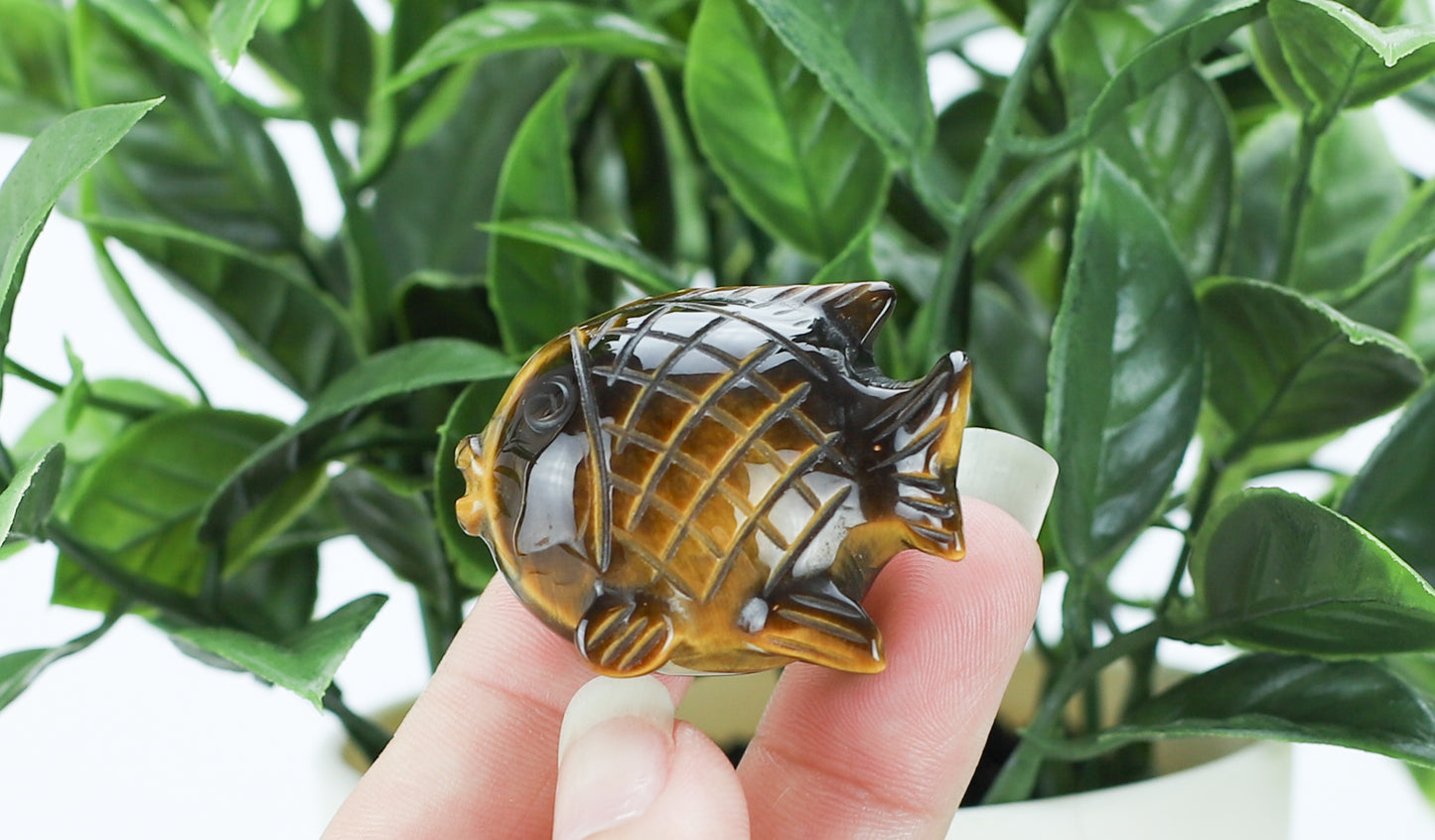 Tiger's Eye Blow Fish