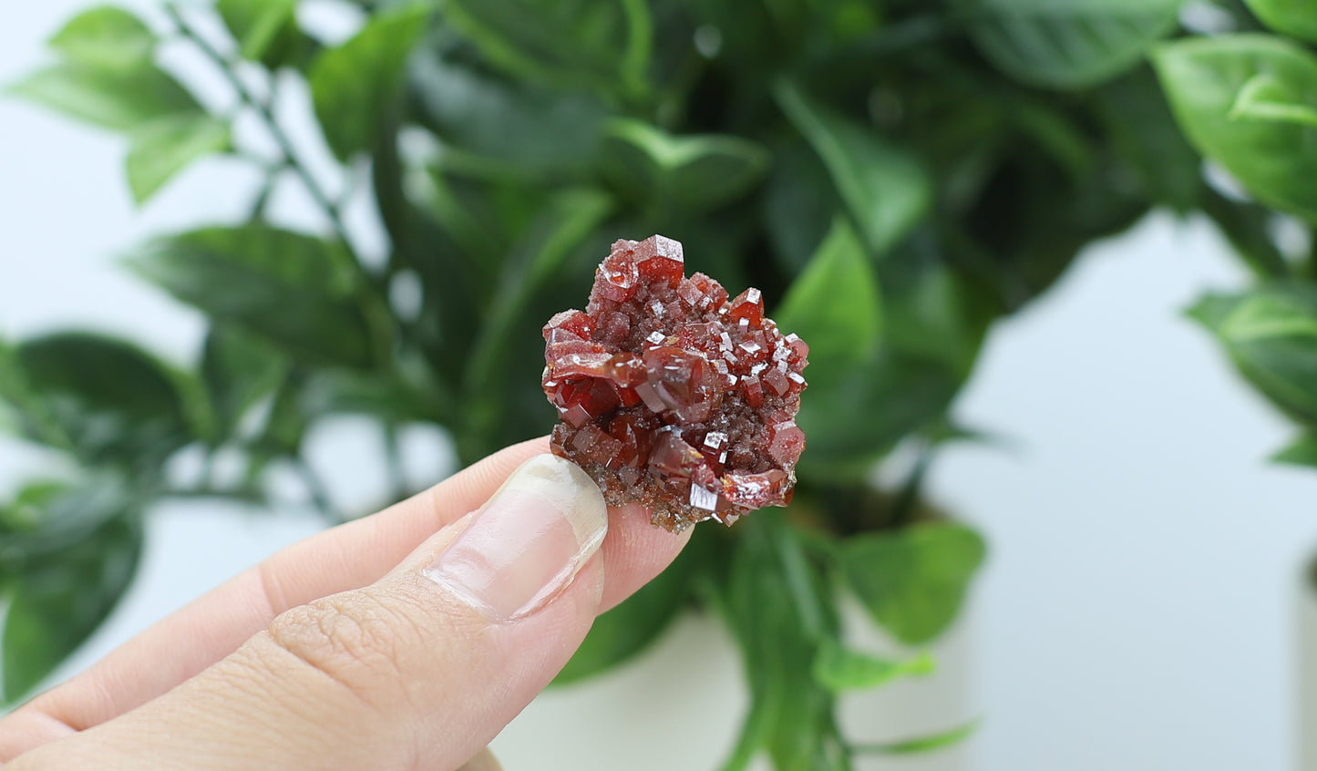 Moroccan Vanadinite Specimen
