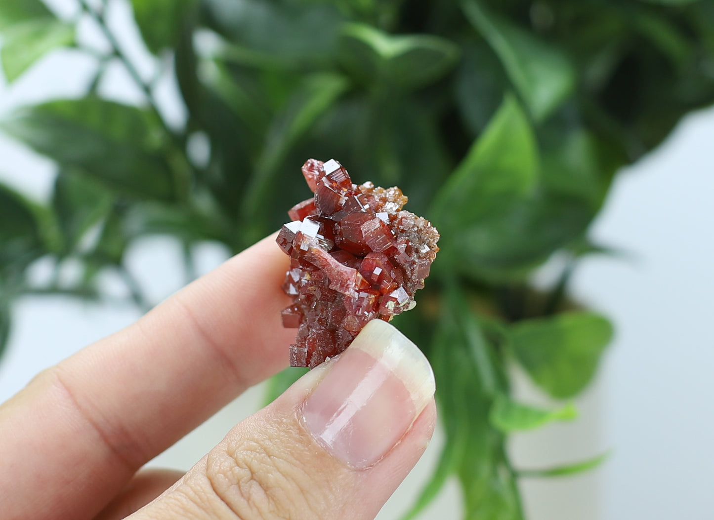 Moroccan Vanadinite Specimen