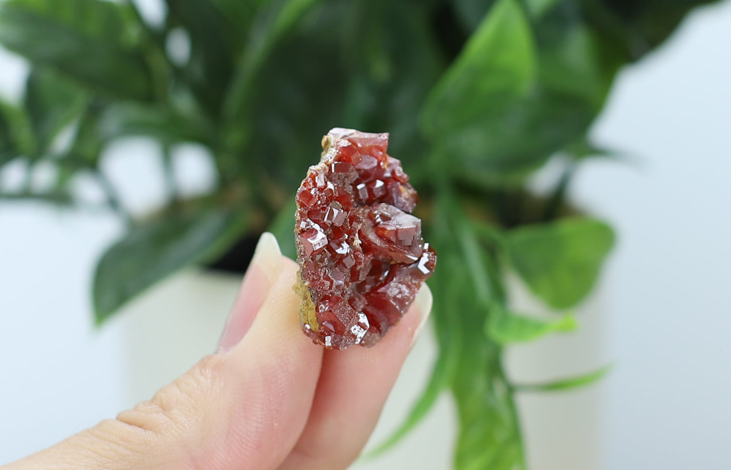 Moroccan Vanadinite Specimen