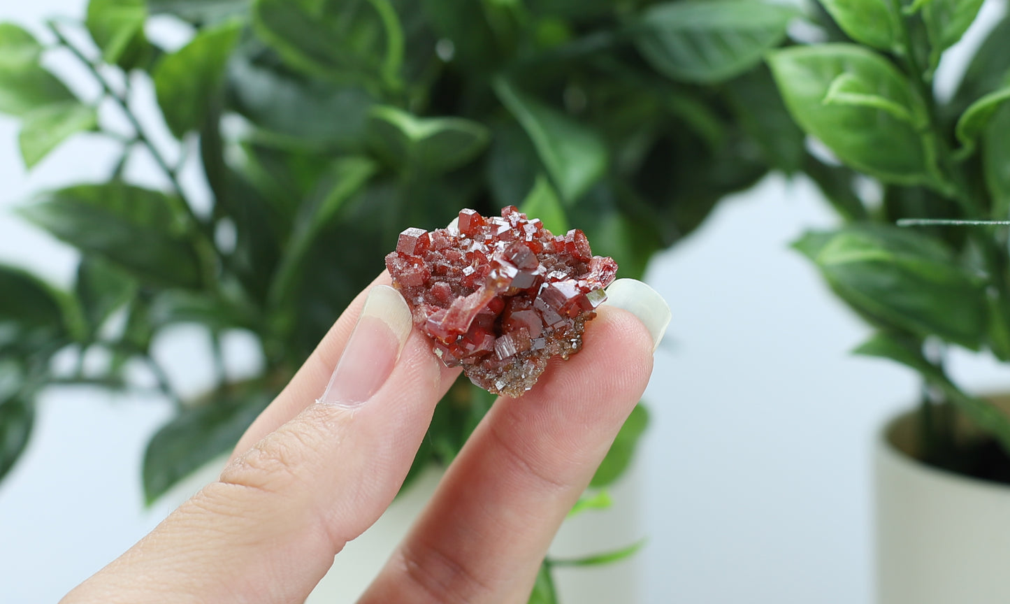 Moroccan Vanadinite Specimen