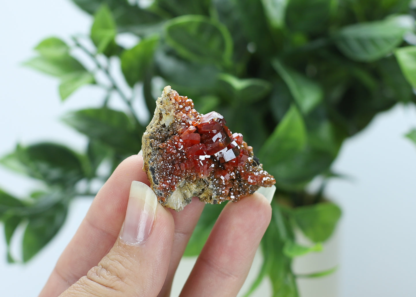 Moroccan Vanadinite Specimen