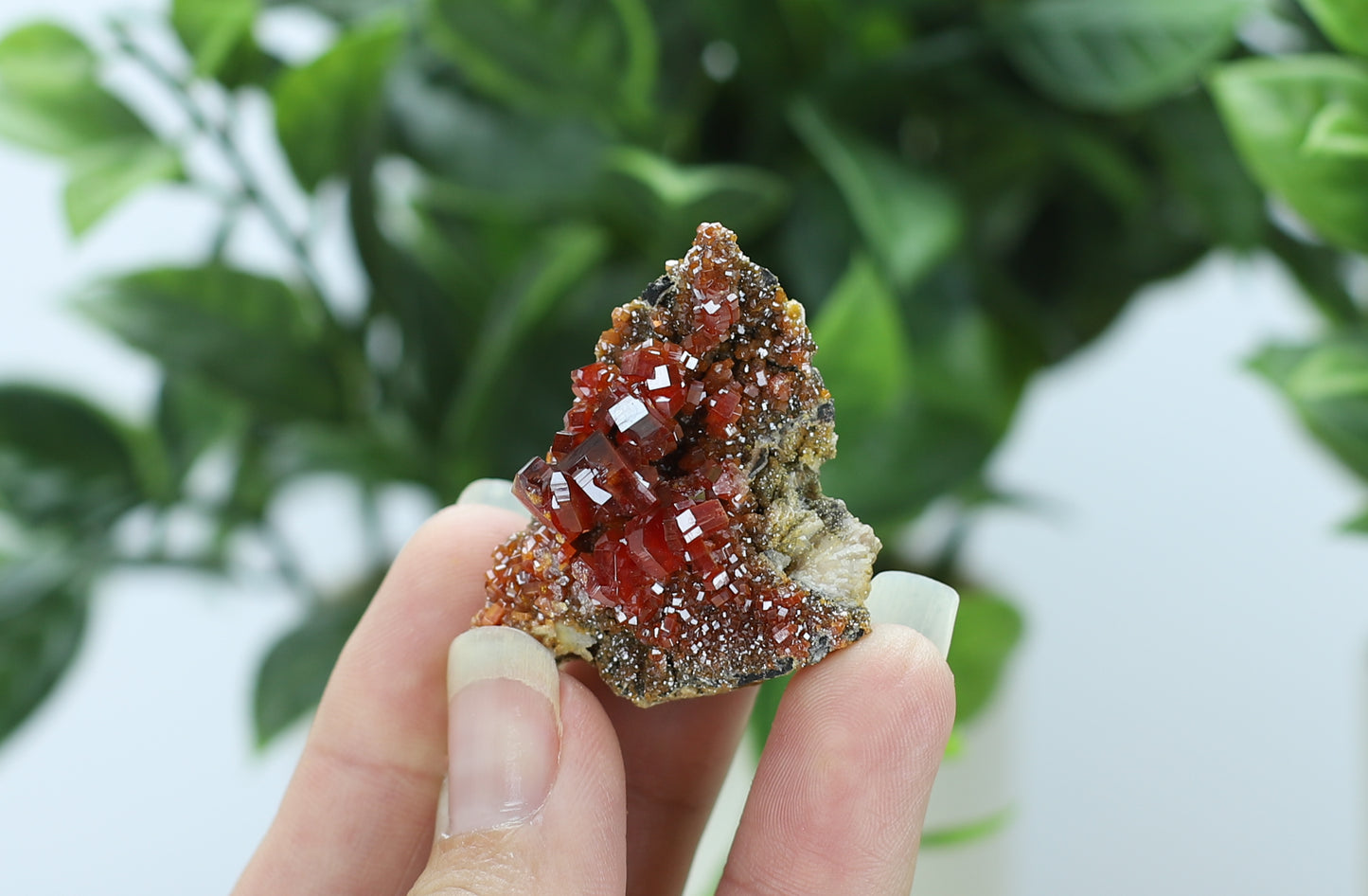 Moroccan Vanadinite Specimen