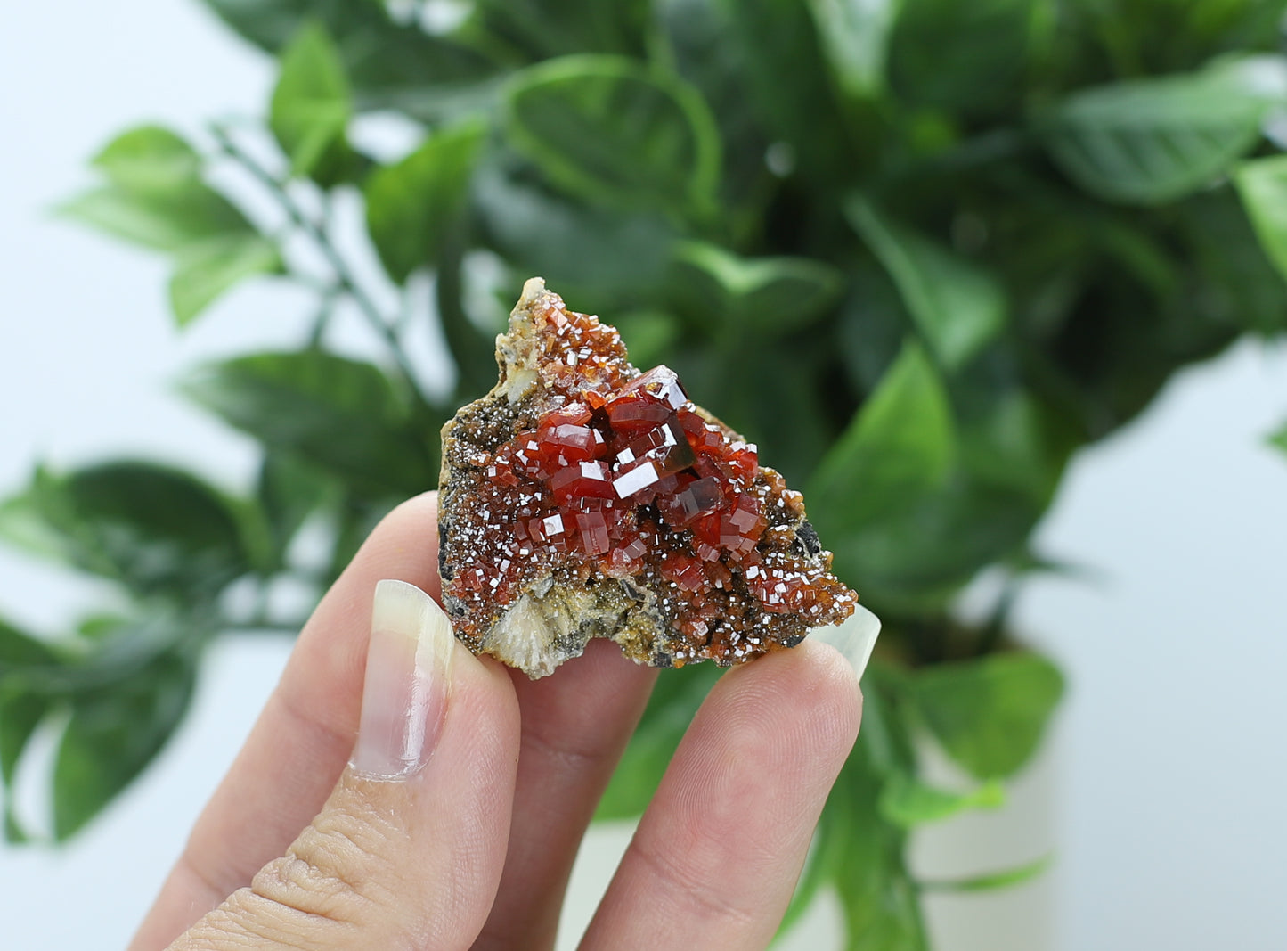 Moroccan Vanadinite Specimen