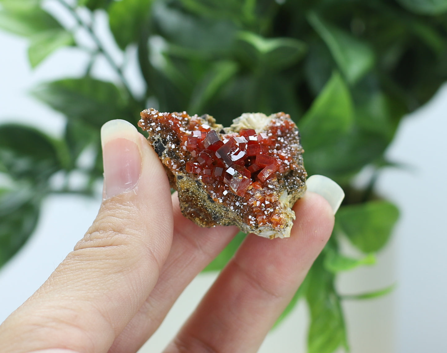 Moroccan Vanadinite Specimen