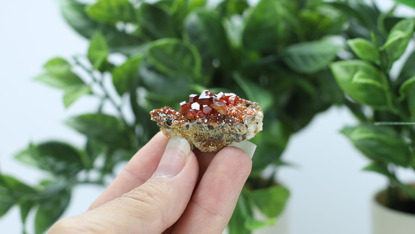 Moroccan Vanadinite Specimen