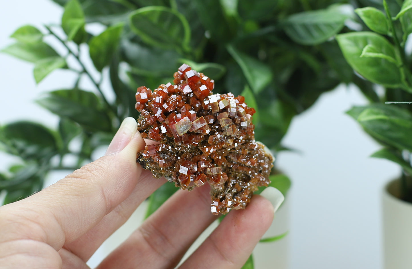 Moroccan Vanadinite Specimen