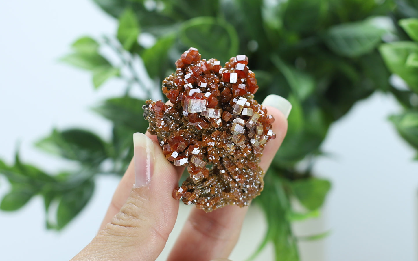 Moroccan Vanadinite Specimen